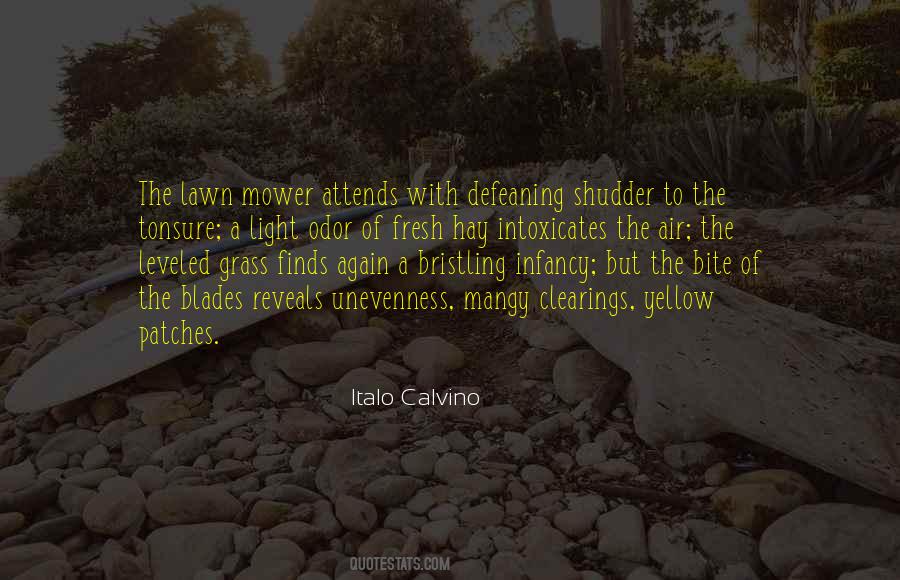 Unevenness Quotes #191886