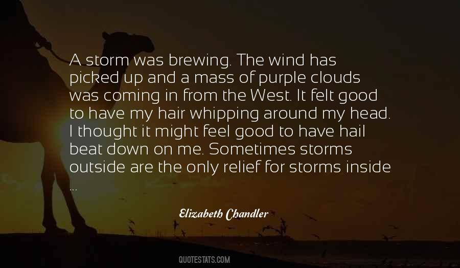 Quotes About Storms Coming #743135