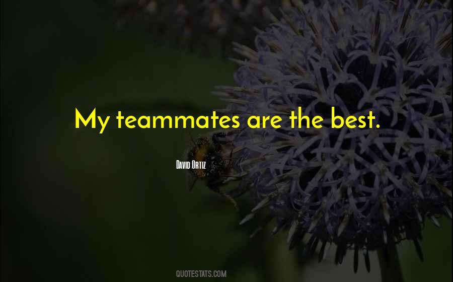 Quotes About Teammates #1366677