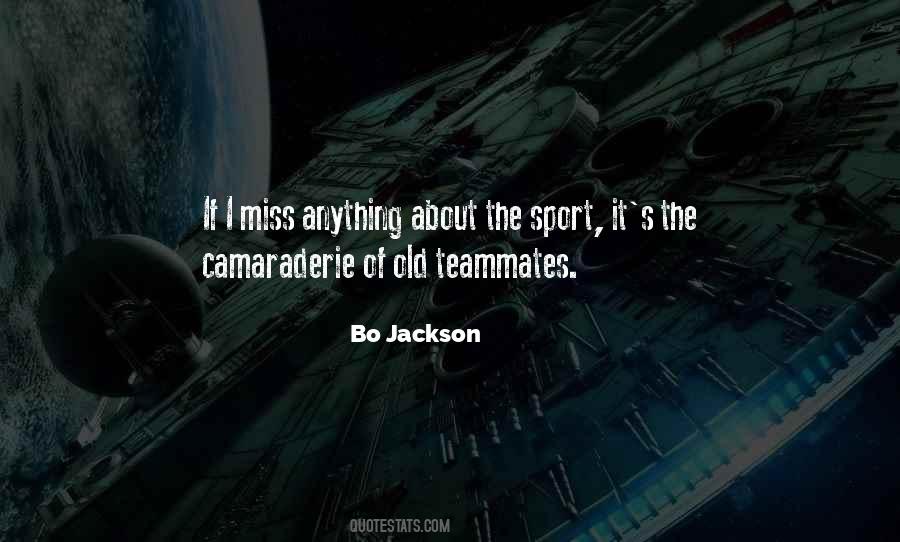 Quotes About Teammates #1466310