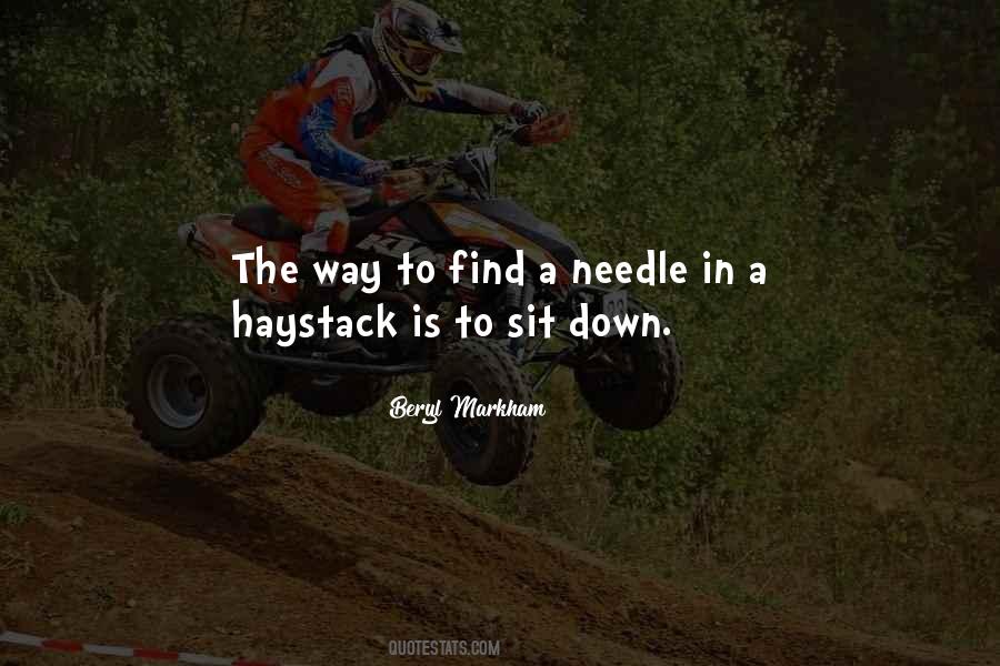 Quotes About Needle In A Haystack #498168