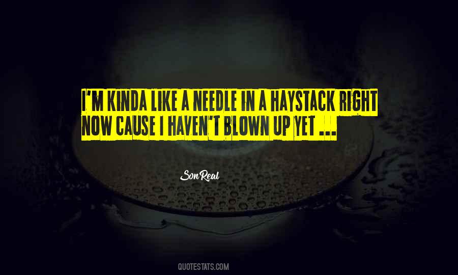 Quotes About Needle In A Haystack #640667