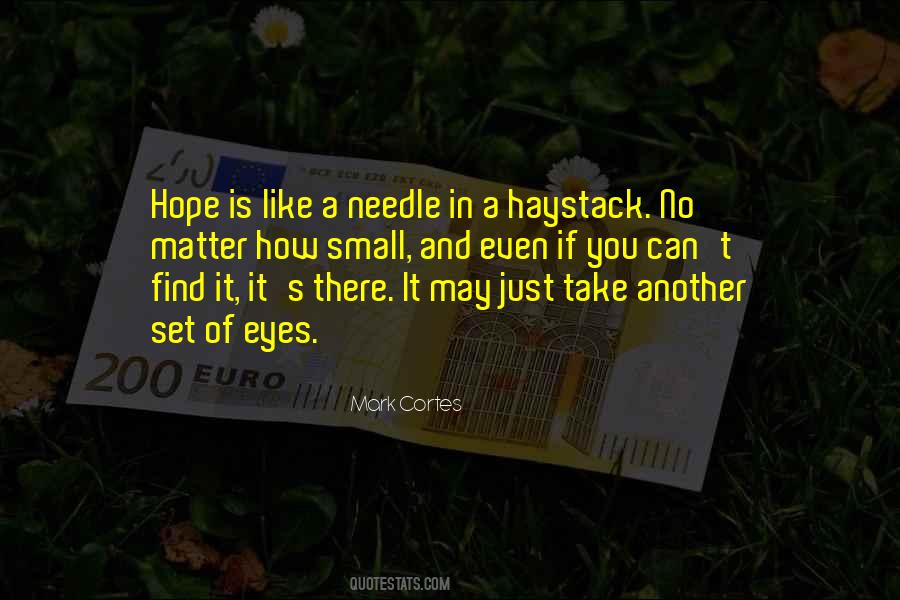 Quotes About Needle In A Haystack #648915