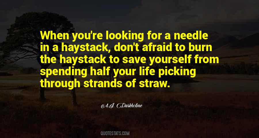 Quotes About Needle In A Haystack #754991