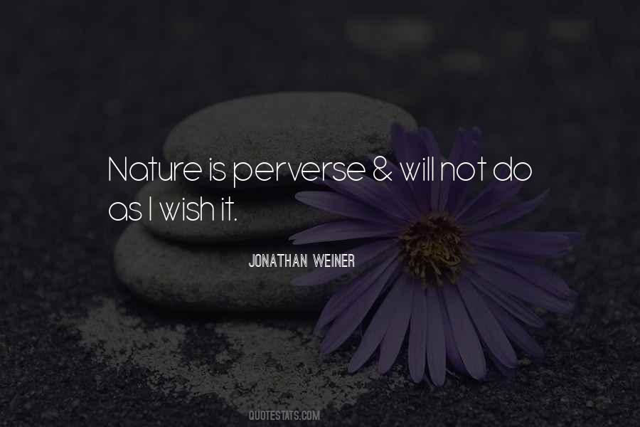 Unmentioned Quotes #714173
