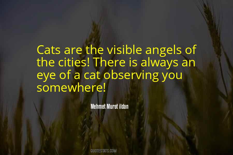 Quotes About Cats #1714116