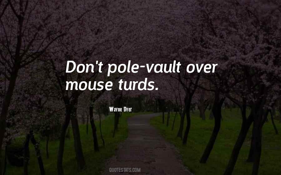 Quotes About Pole Vault #889575