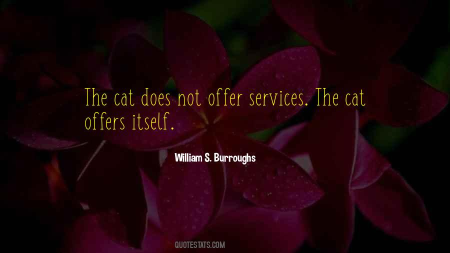 Unsensitive Quotes #1465133
