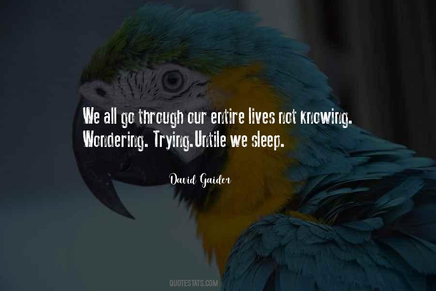Untile Quotes #441758