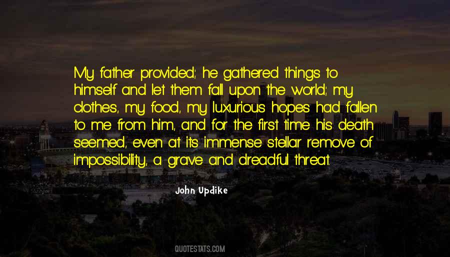 Updike's Quotes #245386