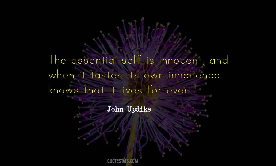 Updike's Quotes #329358 Updike's Quotes #329358