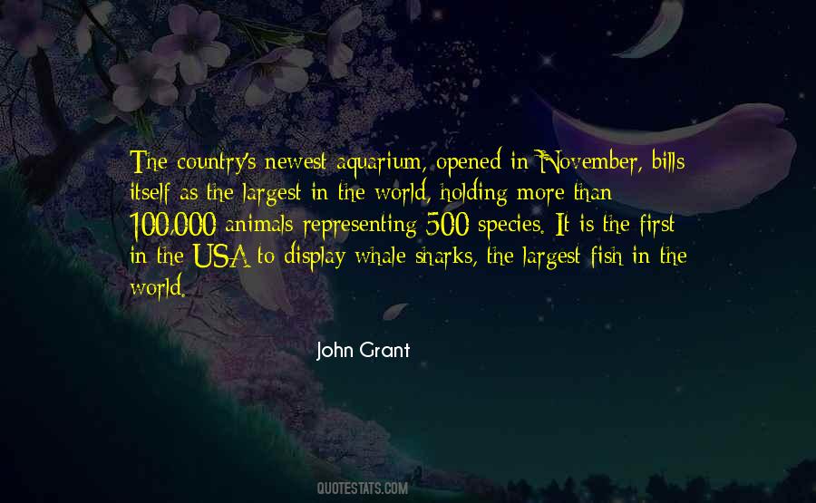 Usa's Quotes #697014