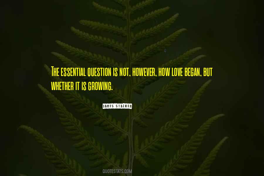 Valentines's Quotes #156313
