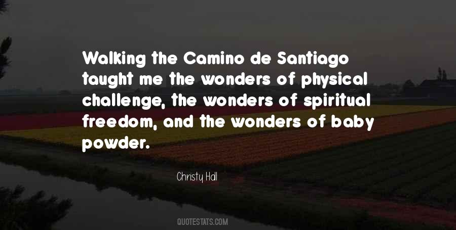 Quotes About Camino De Santiago #89990