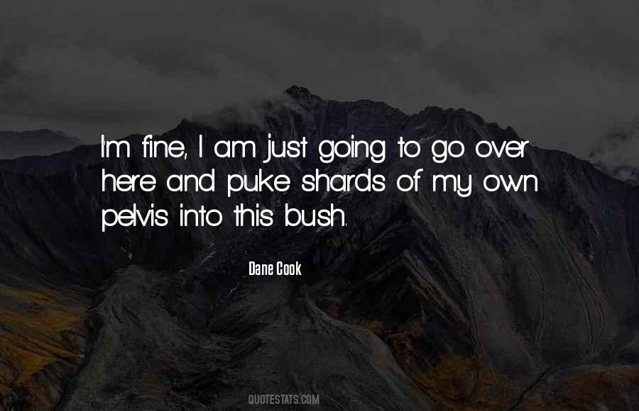Vastless Quotes #1367930