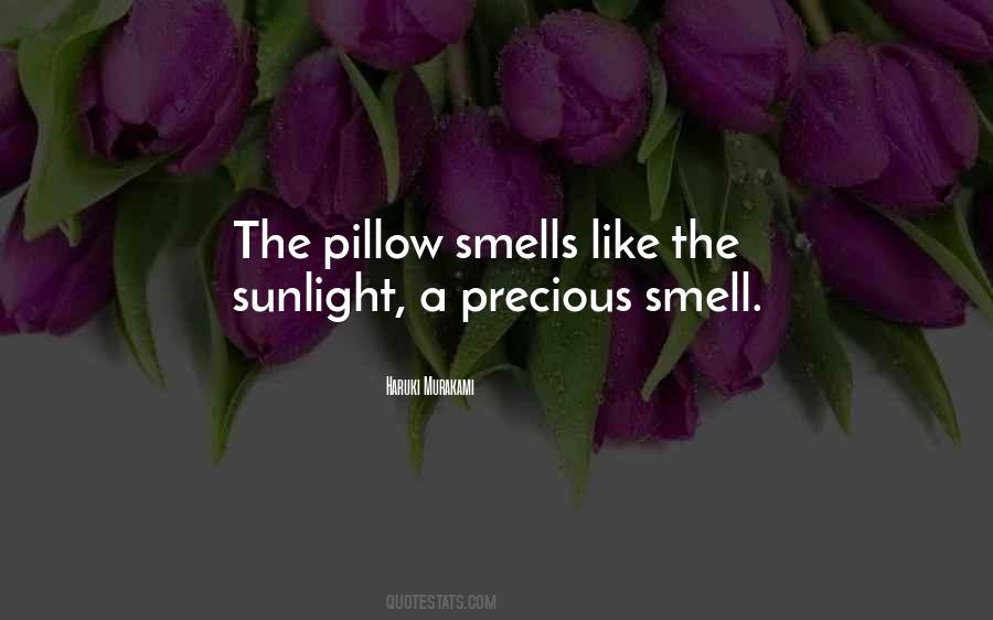Quotes About The Sunlight #1057133