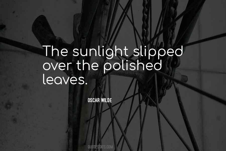 Quotes About The Sunlight #1329413