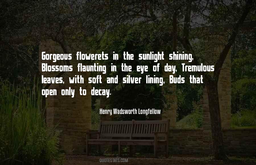 Quotes About The Sunlight #983163