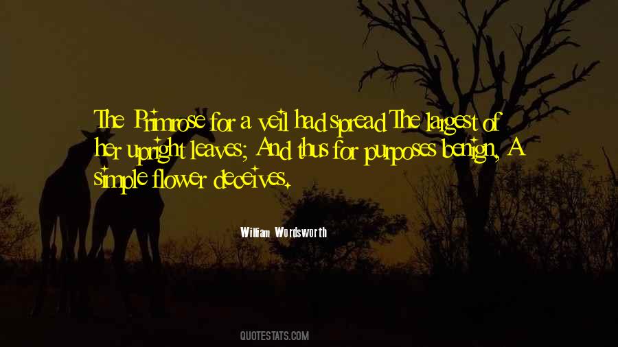 Veil'd Quotes #227317