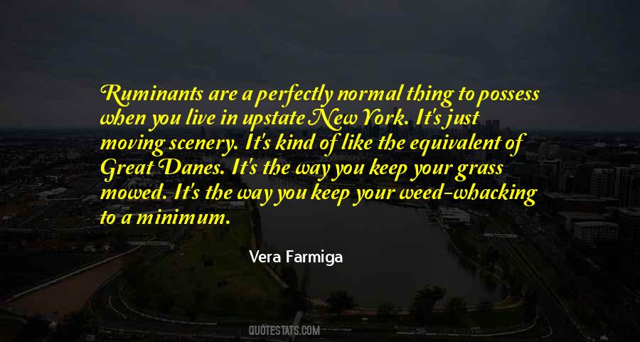 Vera's Quotes #103812