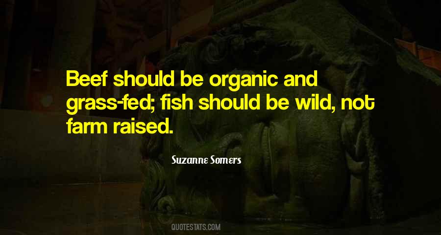 Quotes About Beef #1033036