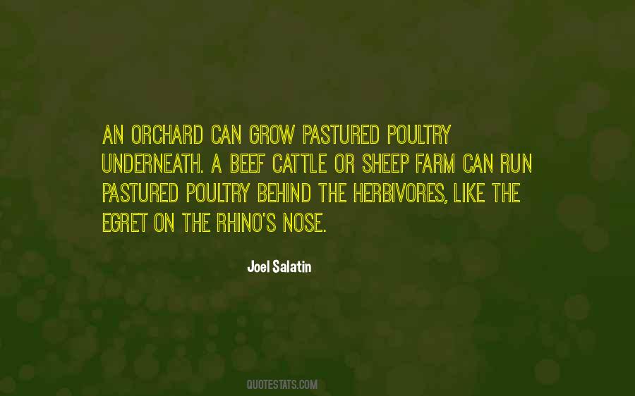 Quotes About Beef #1133682