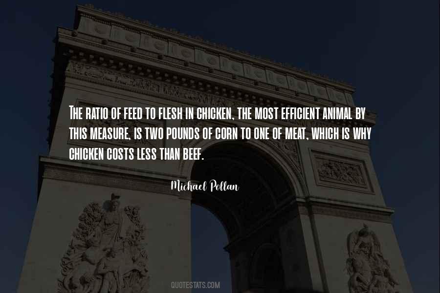 Quotes About Beef #1390273