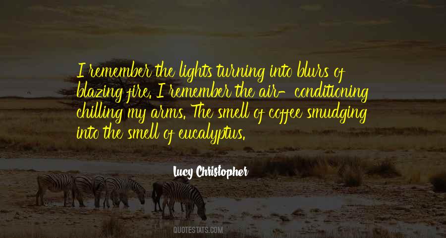 Vetiver Quotes #900840
