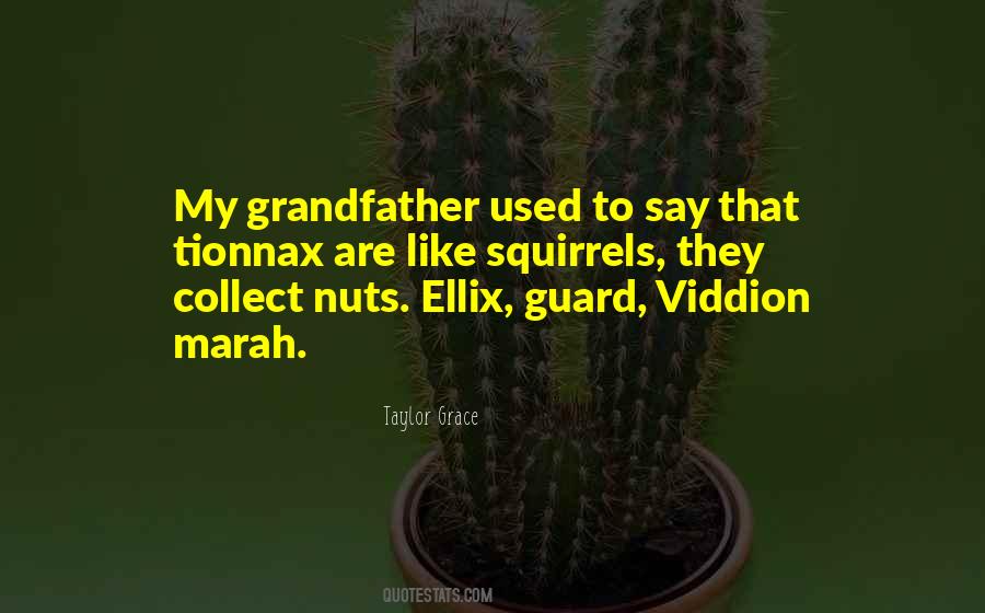 Viddion Quotes #226722