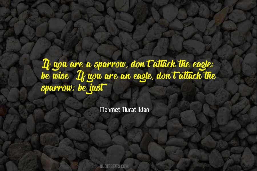 Videoconference Quotes #513796