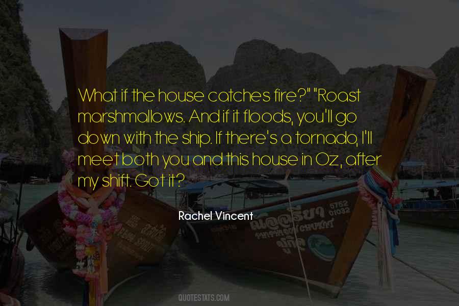 Vincent's Quotes #27724