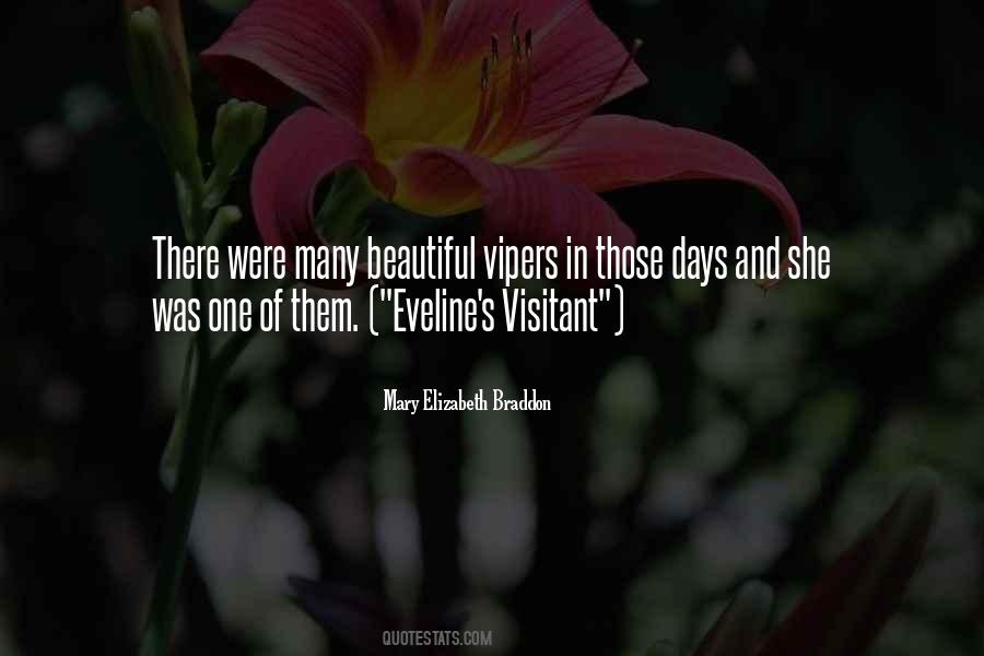 Visitant Quotes #1404091