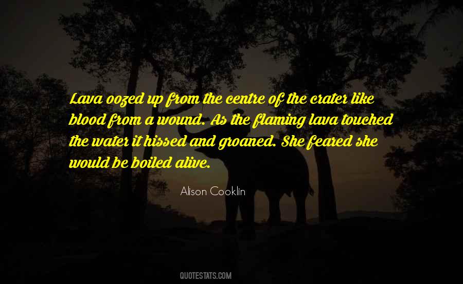 Volcano's Quotes #561718