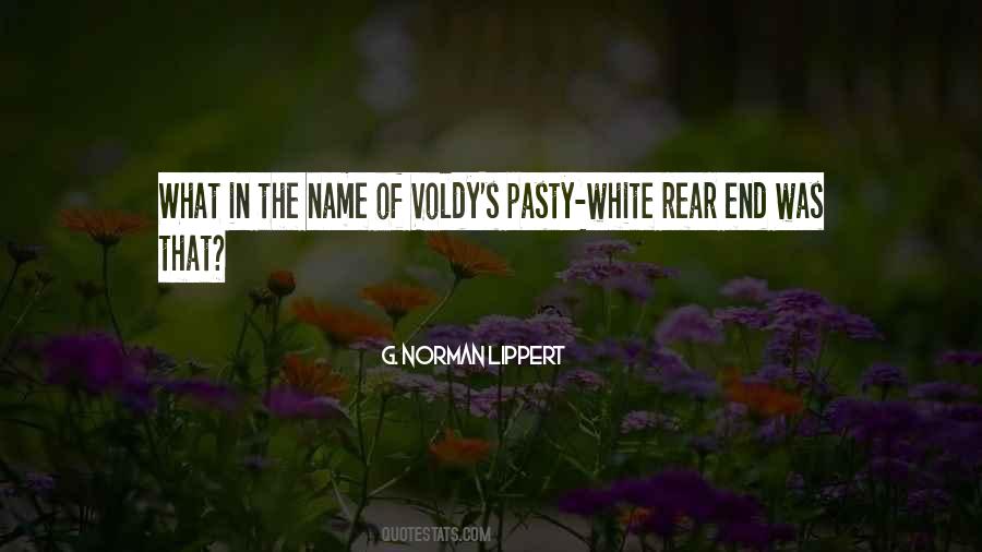 Voldy Quotes #1730586