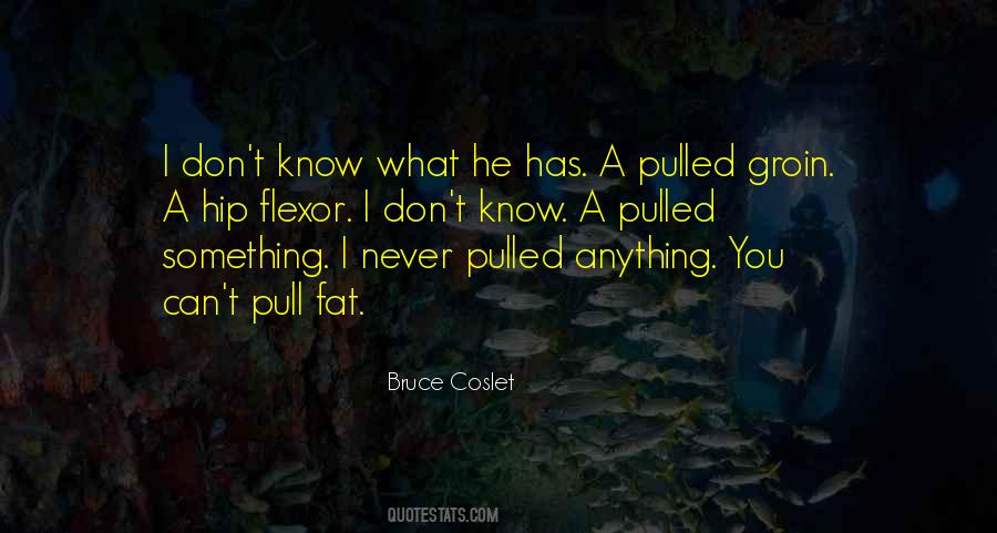 Volkessometimes Quotes #229686 Volkessometimes Quotes #229686