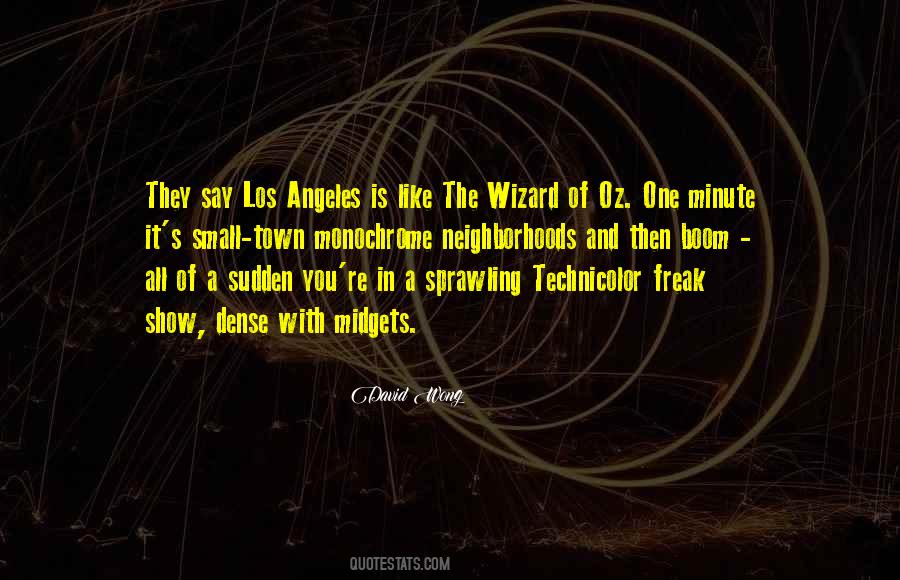 Quotes About Wizard Of Oz #529861