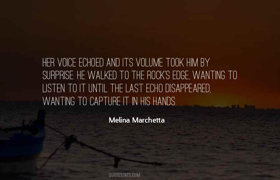 Wanting's Quotes #167540