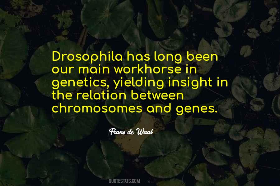 Quotes About Chromosomes #1730713