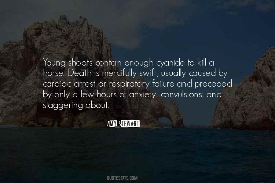 Quotes About Horse Death #1264014