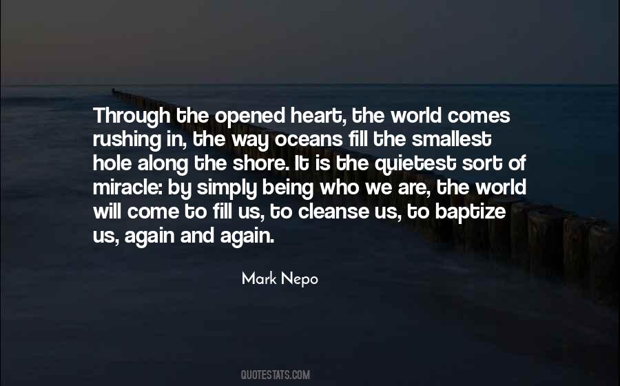 Quotes About A Hole In Your Heart #207261