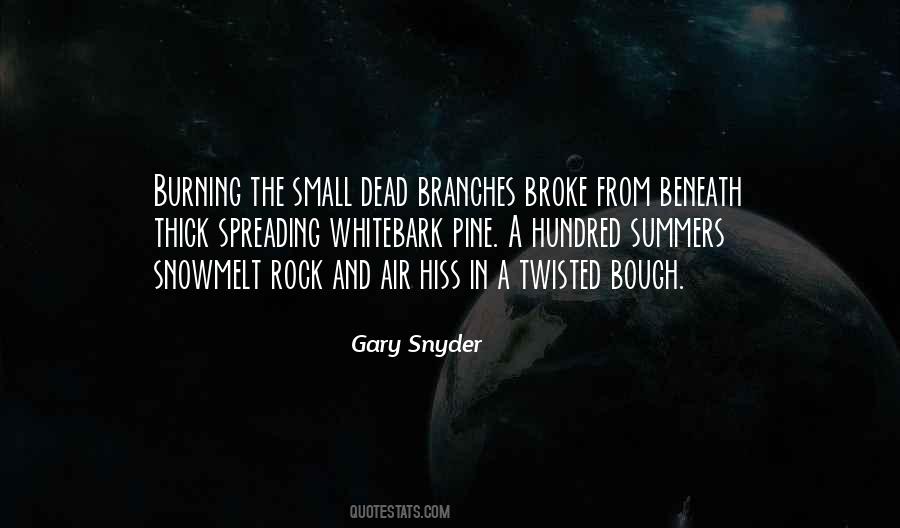 Whitebark Quotes #532807