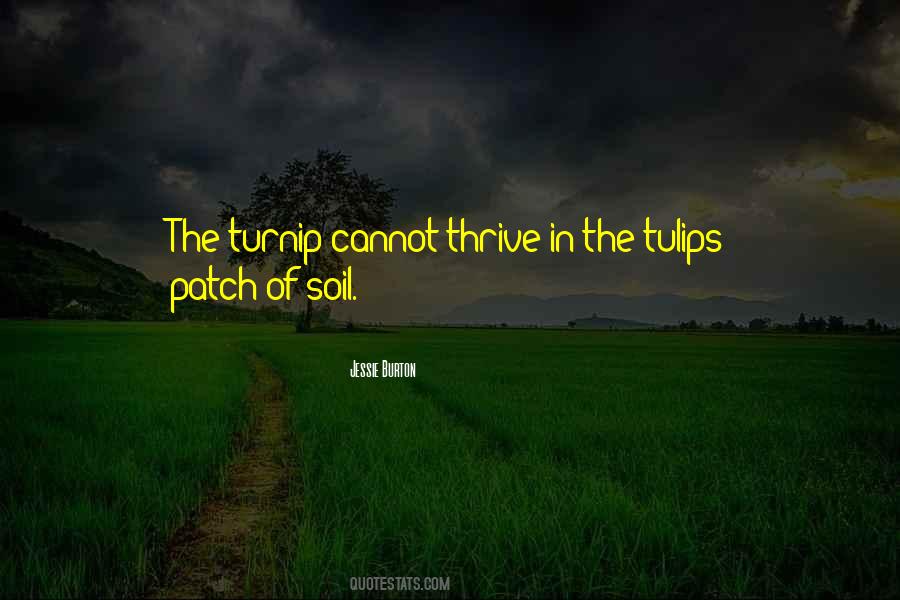 Quotes About Soil #1832523