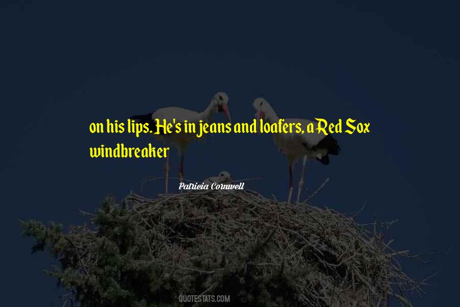 Windbreaker Quotes #832009