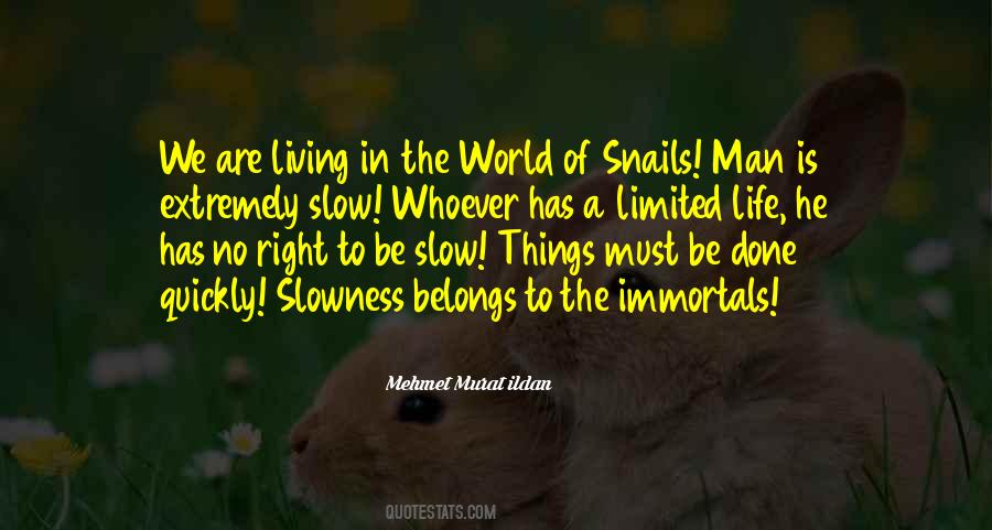 Quotes About Slowness #1402223