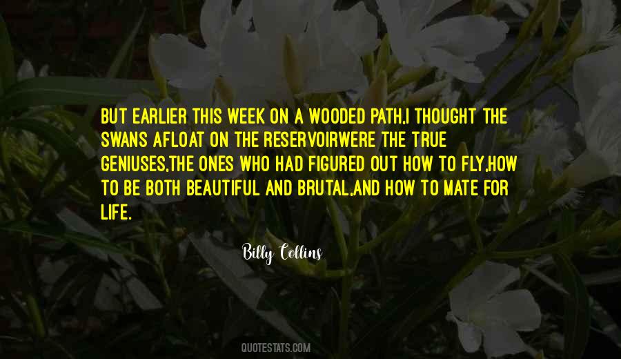 Wooded Quotes #1722942