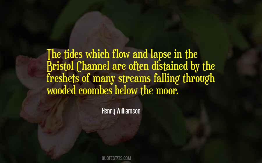 Wooded Quotes #206620