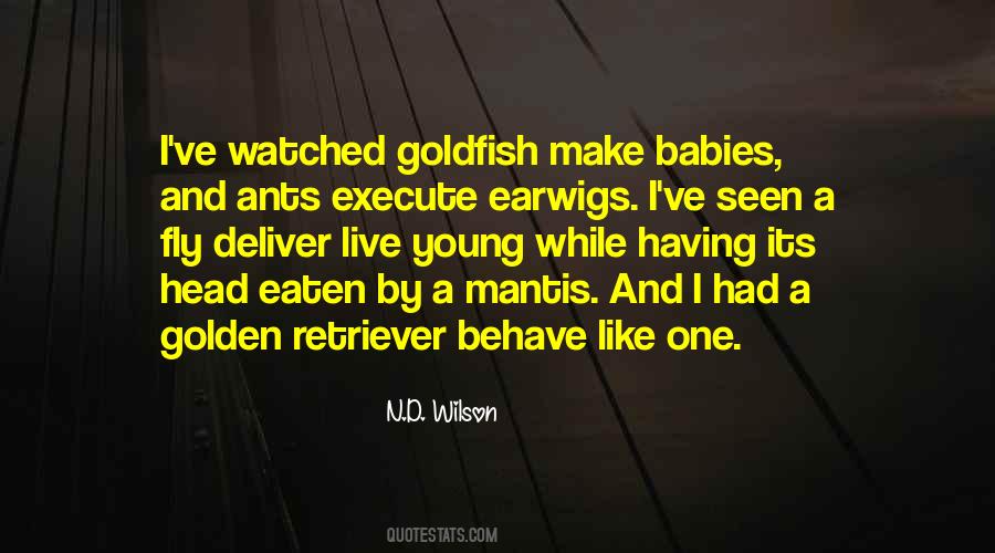 Quotes About Goldfish #1123242