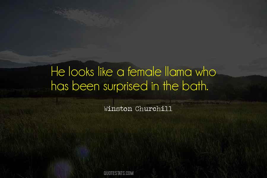 Quotes About Llamas #1279578