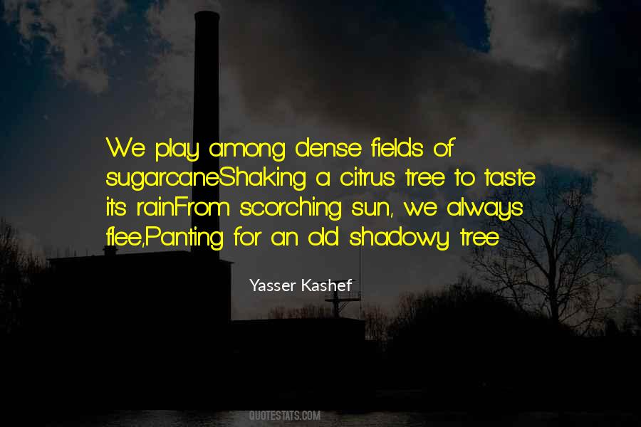 Yasser Quotes #1384778