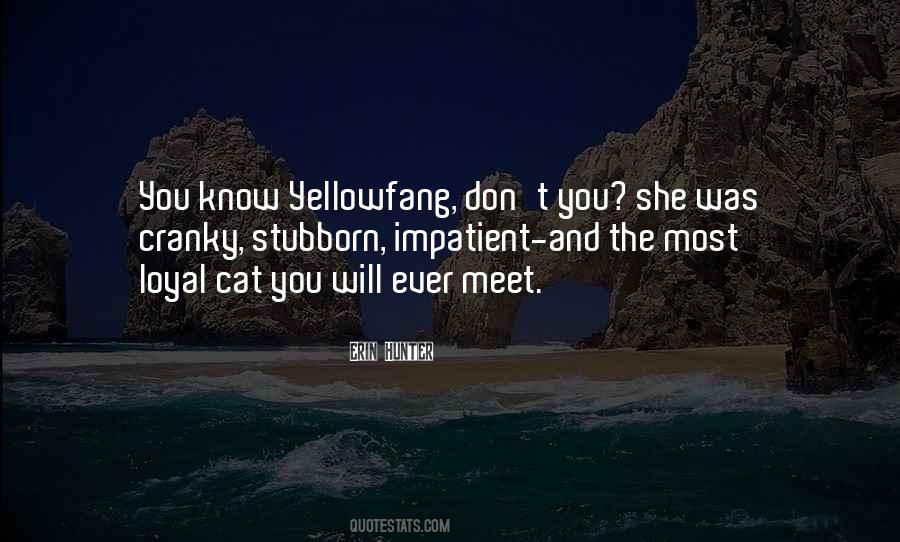 Yellowfang's Quotes #442613